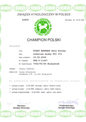 Champion Polski